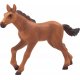 Mojo Hanoverian Fll, Lper