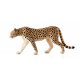 Mojo Gepard Hann