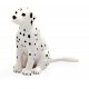 Mojo Dalmatiner Hundehvalp