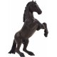 Mojo Mustang Hest, Svart